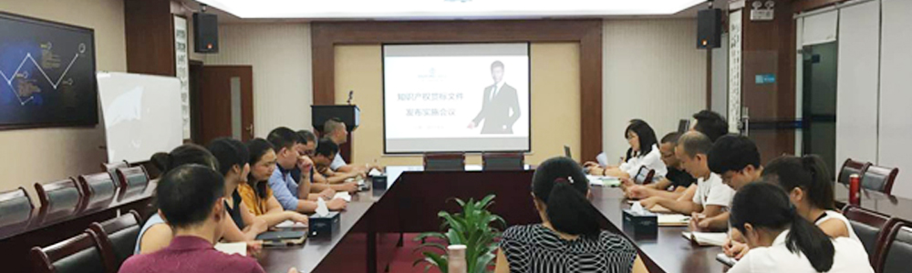 雷諾表召開知識(shí)產(chǎn)權(quán)貫標(biāo)文件發(fā)布實(shí)施會(huì)議